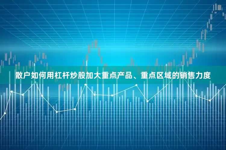 散户如何用杠杆炒股加大重点产品、重点区域的销售力度