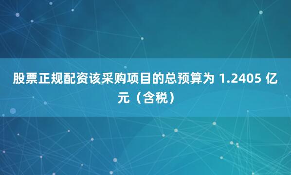 股票正规配资该采购项目的总预算为 1.2405 亿元（含税）