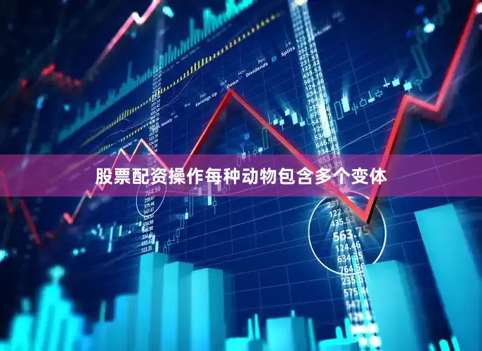股票配资操作每种动物包含多个变体