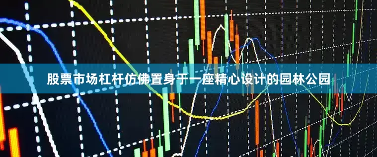 股票市场杠杆仿佛置身于一座精心设计的园林公园