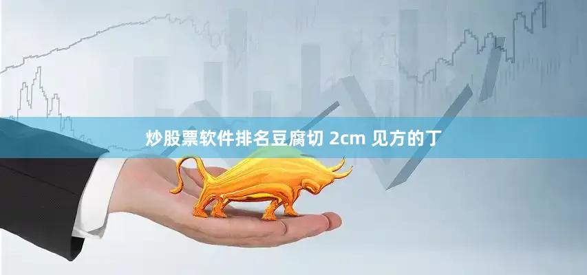 炒股票软件排名豆腐切 2cm 见方的丁